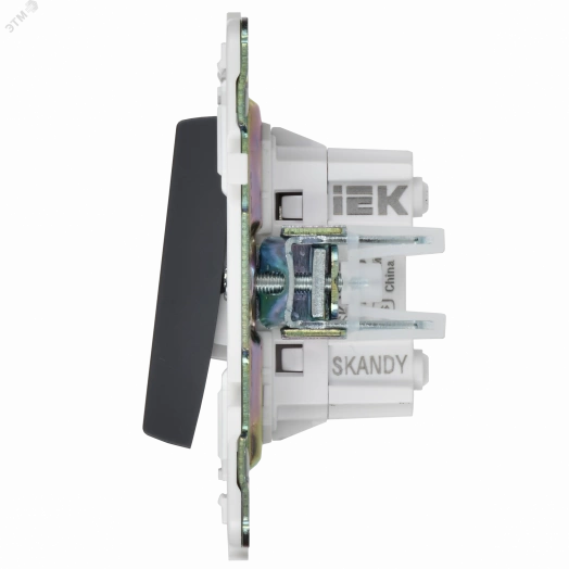 SKANDY Выключатель 2-клавишный перекрестный 10А SK-V06T титан IEK