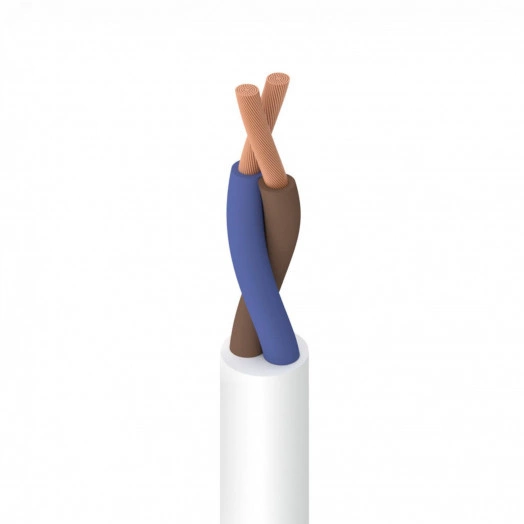 Провод ПВС 2х2.5 белый ТРТС(5м)