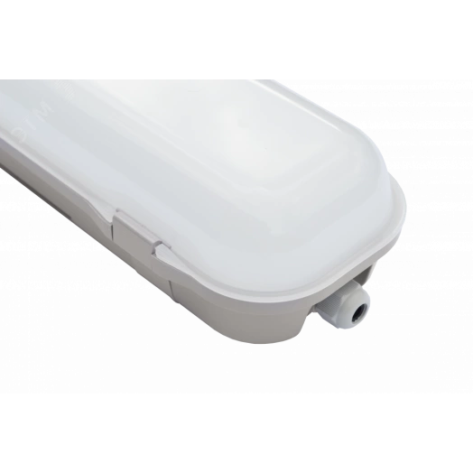 Diora LPO/LSP SE 30/4100 opal 5K