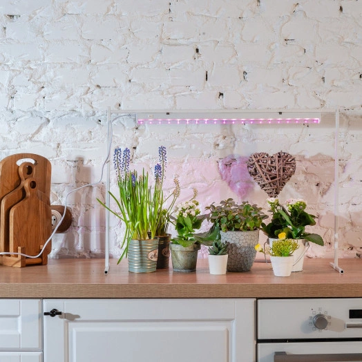 Светильник для растений светодиодный линейный 560мм выкл на корпусе Спектр для фотосинтеза TM