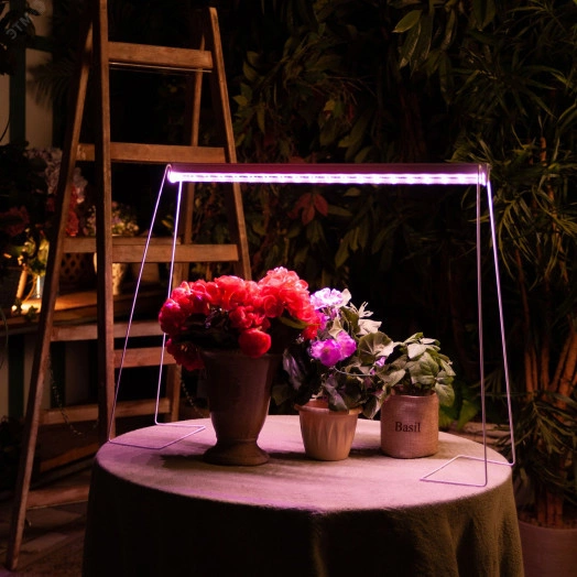 Светильник для растений светодиодный линейный 560мм выкл на корпусе Спектр для фотосинтеза TM