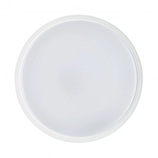 Светильник настенный ДБП 22 Вт 2200 Лм 4000K 120х120 грд 220-240 В IP65 D390х85 мм для ЖКХ DALI CoreLine Wall-mounted