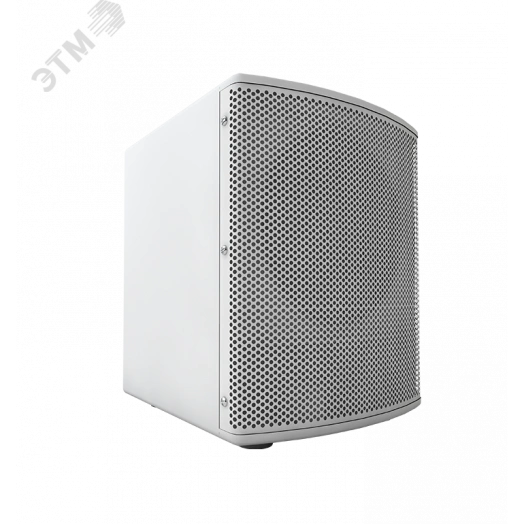 Сабвуфер SWM-100WS