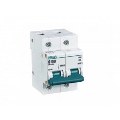 Выключатель автоматический модульный 2п C 100А 10кА ВА-201 SchE 13006DEK