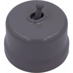 Выключатель Лизетта 2-кл., пластик, цвет Титан (тумблерный) Выключатель Лизетта 2-кл., пластик, цвет Титан (тумблерный)