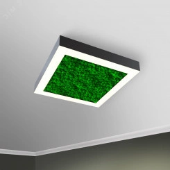 Светильник светодиодный RVE-LBX-MOSS-BOX-1800-N (Квадрат с отв. 1800х1800х100мм S80мм 175Вт Накладной 4000К Белый) Светильник светодиодный RVE-LBX-MOSS-BOX-1800-N (Квадрат с отв. 1800х1800х100мм S80мм 175Вт Накладной 4000К Белый)