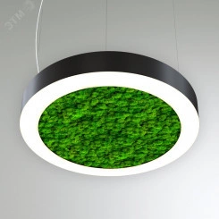Светильник светодиодный RVE-LBX-MOSS-RING-1500-P (Кольцо 1500х1500х100мм S80мм 113Вт Подвесной 4000К Белый) Светильник светодиодный RVE-LBX-MOSS-RING-1500-P (Кольцо 1500х1500х100мм S80мм 113Вт Подвесной 4000К Белый)