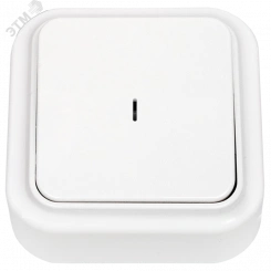 Беларусь Выключатель одноклавишный с индикатором наружный