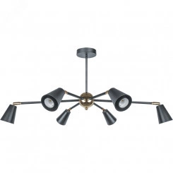 Светильник NLF-C-051-01 потолочный черный золото