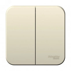 Выключатель BLANCA двухклавишный наружный (схема 5) с изоляционной пластиной 6A 250B молочный Выключатель BLANCA двухклавишный наружный (схема 5) с изоляционной пластиной 6A 250B молочный