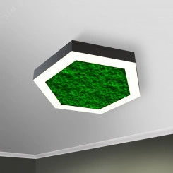 Светильник светодиодный RVE-LBX-MOSS-HEXA-1950-N (Шестиугольник с отв. 1950х1689х100мм S80мм 143Вт Накладной 4000К Белый)