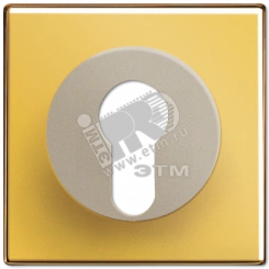 Крышка к выключателю для замочного механизма металл цвета золота Крышка к выключателю для замочного механизма металл цвета золота