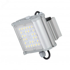 Светильник светодиодный уличный ДКУ ЭКОНОМ 31Вт 4600Лм 5000К IP67(Фрегат 11 ЭКО-30-Ш-155x70-ПТ/0/0-5К80-К67)