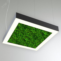 Светильник светодиодный RVE-LBX-MOSS-BOX-500-P (Квадрат с отв. 500х500х100мм S80мм 44Вт Подвесной 4000К Белый) Светильник светодиодный RVE-LBX-MOSS-BOX-500-P (Квадрат с отв. 500х500х100мм S80мм 44Вт Подвесной 4000К Белый)