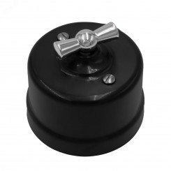 Выключатель Лизетта 2-кл., пластик, цвет Черный, Серебро Выключатель Лизетта 2-кл., пластик, цвет Черный, Серебро