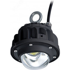Светильник ACORN LED 30 D120 5000K Ex Светильник ACORN LED 30 D120 5000K Ex