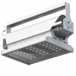 Прожектор светодиодный ДО-80вт Эверикс LED-80-Г60.4-IP66-У1(1/LIRA/840/RAL7035/TG/AC230/D/DALI/G1)