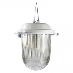 Светильник светодиодный ДПО 03-015-101 [351] СПЕЦСВЕТ "Желудь А" подвесной без решетки 220В 15Вт 6500К 1700лм УХЛ2 IP54 (груп.упак.) Элетех 1030450351