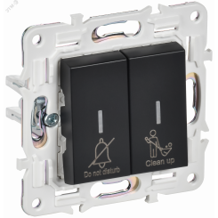 SKANDY Выключатель 2-клавишный с индикацией для отелей 10А SK-V16Bl черный IEK SKANDY Выключатель 2-клавишный с индикацией для отелей 10А SK-V16Bl черный IEK