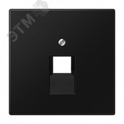 Плата (фиксация винтом) для одного модуля, термопласт, черный матовый