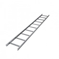 Лоток лестничный 50х300 L6000 2мм нерж. сталь AISI 304 DKC ILH6530C Лоток лестничный 50х300 L6000 2мм нерж. сталь AISI 304 DKC ILH6530C