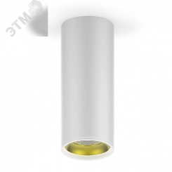 Светильник светодиодный ДПО 12 Вт 900 Лм 3000К цилинндр накладной 170-240 В 79х200 мм IP20 белый/золото LED Overhead Gauss