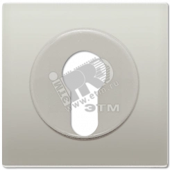 Крышка к выключателю для замочного механизма  благородная сталь