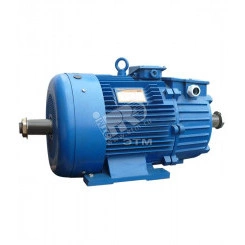 Электродвигатель 5MTH 280 L10 75/575 IM 1004