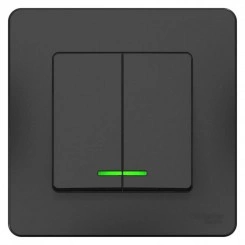 Выключатель 2-кл. СП Blanca 10А IP20 (сх. 5) 250В с подсветкой антрацит SchE BLNVS010516 Выключатель 2-кл. СП Blanca 10А IP20 (сх. 5) 250В с подсветкой антрацит SchE BLNVS010516