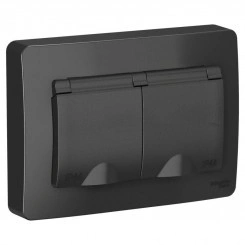 Розетка 2-м СП Blanca 16А IP44 250В с заземл. защ. шторки с крышкой антрацит SchE BLNRS441126 Розетка 2-м СП Blanca 16А IP44 250В с заземл. защ. шторки с крышкой антрацит SchE BLNRS441126