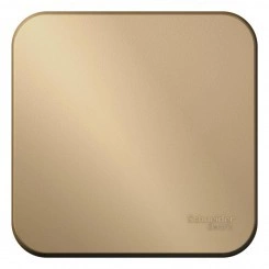 Переключатель проходной 1-кл. ОП Blanca 10А IP20 (сх. 6) 250В с изолир. пластиной титан SchE BLNVA106014