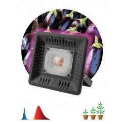 Прожектор для растений FITO-50W-LED BLUERED 50Вт IP65 220-240В -30град. до + 45град. 30000ч ЭРА Б0039033
