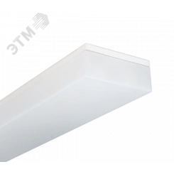 Светильник ЛПО-46-2х36-812 Contur HF БАП