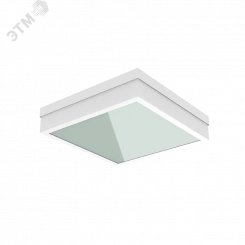 Светильник светодиодный ДВО/ДПО-25Вт IP54 2600Лм 4000К C490/NGL белый рас-ль стекло