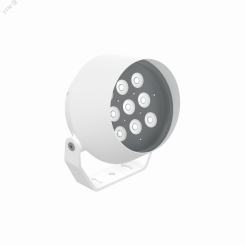 Светильник светодиодный ДПУ-50Вт RGBW IP66 30 гр. Frieze M DMX Белый