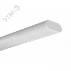 Светильник ЛСО-46-58-012 Modul зерк. отр., ЭПРА, IP20