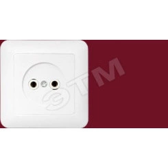 Беларусь розетка 1-но местн РС16-299