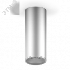 Светильник светодиодный ДПО 12 Вт 920 Лм 4100К цилинндр накладной 170-240 В 79х200 мм IP20 хром/сатин LED Overhead Gauss Светильник светодиодный ДПО 12 Вт 920 Лм 4100К цилинндр накладной 170-240 В 79х200 мм IP20 хром/сатин LED Overhead Gauss