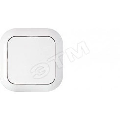 Беларусь Выключатель одноклавишный IP44 С110-817 Беларусь Выключатель одноклавишный IP44 С110-817