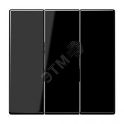 Клавиша 3-я для 3-х клавишных выключателей без подсветки. Серия LS990 Материал- термопласт Цвет- черный Клавиша 3-я для 3-х клавишных выключателей без подсветки. Серия LS990 Материал- термопласт Цвет- черный