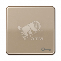 Клавиша с символом ключ золотая бронза Клавиша с символом ключ золотая бронза