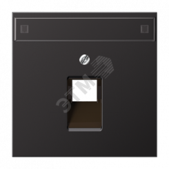 Крышка для одинарной телефонной и компютерной     розетки UAE с полем для надписи dark (лакиров.    алюминий) (AL2969-1NAUAD)