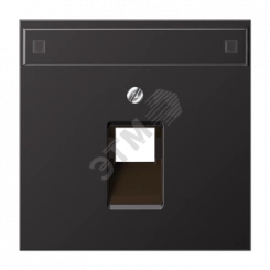 Крышка для одинарной телефонной и компютерной розетки UAE с полем для надписи dark (лакиров. алюминий) (AL2969-1NAUAD) Крышка для одинарной телефонной и компютерной розетки UAE с полем для надписи dark (лакиров. алюминий) (AL2969-1NAUAD)