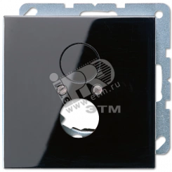 Крышка для 2-х гнезд (разъемов для громкоговорителей) черная Крышка для 2-х гнезд (разъемов для громкоговорителей) черная