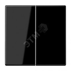 Клавиша 2-я для выключателей и кнопок без подсветки. Серия LS990 Материал- дуропласт Цвет- черный Клавиша 2-я для выключателей и кнопок без подсветки. Серия LS990 Материал- дуропласт Цвет- черный