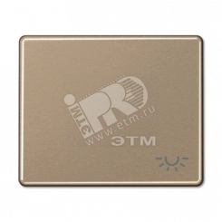 Клавиша для выключателя с символом освещение золотая бронза Клавиша для выключателя с символом освещение золотая бронза