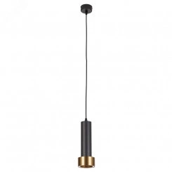 Подвесной светильник Arte Lamp RAN A3147SP-1BK