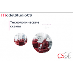 Право на использование программного обеспечения Model Studio CS Технологические схемы (3.x, сетевая лицензия, серверная часть (1 год))