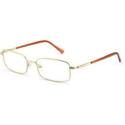 Очки защитные корригирующие О13 Favori Office Standart Очки защитные корригирующие О13 Favori Office Standart