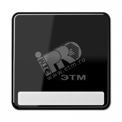 Клавиша для выключателя с полем для надписи  черная